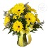 Purchase this funeral home arrangement