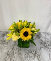 You are my Sunshine! Cube arrg of yellow flowers in Winter Park, Florida | APPLEBLOSSOM FLORIST & GIFTS