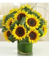 You Are My Sunshine Sunflower Arrangement 