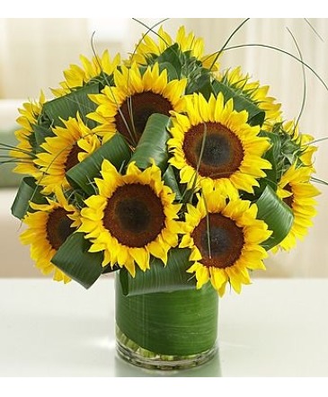 You Are My Sunshine Sunflower Arrangement  in Indianapolis, IN | Lady J's Florist 2