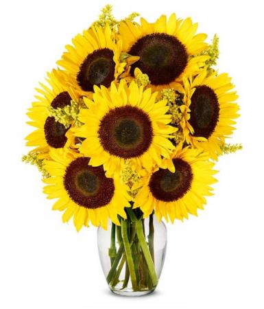YOU ARE MY SUNSHINE  Sunflower Vase Arrangement 