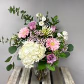 You Are So Special  in Etobicoke, Ontario | THE POTTY PLANTER FLORIST