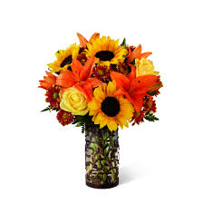 You are special for fall