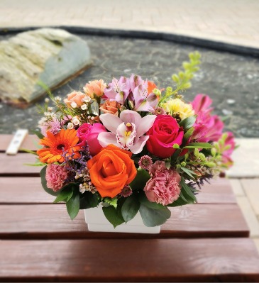 You are Special!  Compact arrangement in Delta, BC | FLOWERS BEAUTIFUL