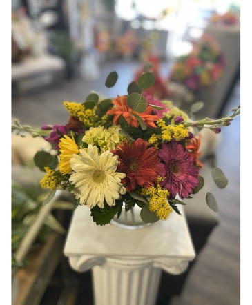 You Drive Me Daisy in Acworth, GA | Davis Flowers You Drive Me Daisy in Acworth, GA | Davis Flowers