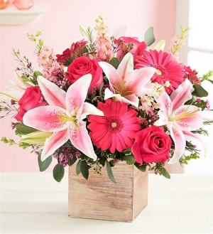 You Make My Dreams Come True Dreamy Lilies, Roses, & Other Fabulous Pink Blooms