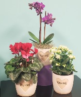 You + Me  Blooming Planter