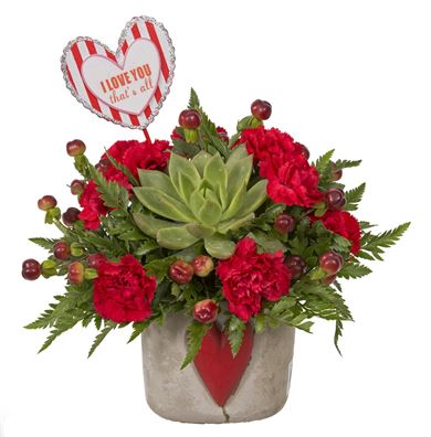 You Rock Bouquet Keep and grow your echeveria!! 