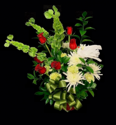 Category Image