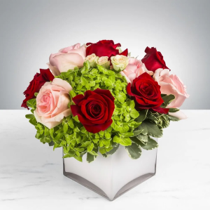 YOUNG LOVE RED & PINK ROSES WITH GREENERY