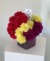 Fantasy Carnations  Your Choice of 3 Colors