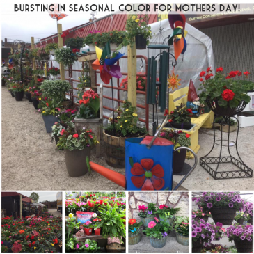 Your Garden Store and So Much More Give the gift of gardening  in Pelican Rapids, MN | Brown Eyed Susans Floral
