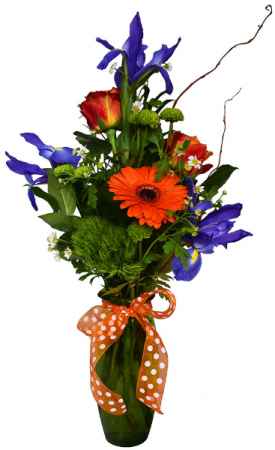 Your Iris Is Showing Arrangement