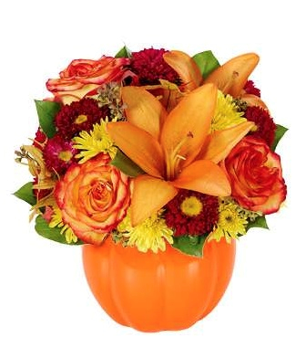 You'r my Pumpkin SPECIAL OF THE MONTH in Saint Cloud, FL | Bella Rosa Florist You'r my Pumpkin SPECIAL OF THE MONTH in Saint Cloud, FL | Bella Rosa Florist