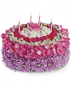 Category Image