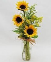 Sunflowers Local Delivery Only