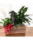 Purchase this funeral home arrangement