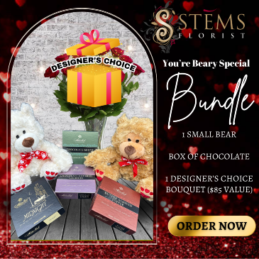 You're Beary Special Bundle  in Vacaville, CA | Stems Florist