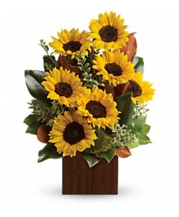 You're Golden Bouquet in Coral Springs, FL | DARBY'S FLORIST