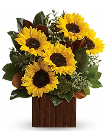 You're Golden TEV32-1A in Fort Worth, TX | DAVIS FLORAL DESIGNS You're Golden TEV32-1A in Fort Worth, TX | DAVIS FLORAL DESIGNS