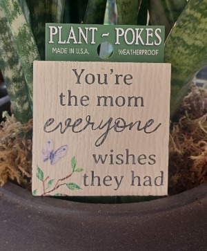 You're the Mom Everyone Wishes They Had Plant Stak 