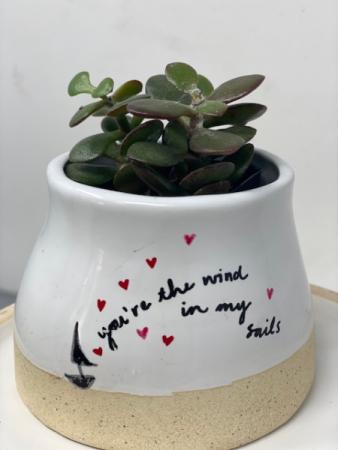 You're the wind in my sails Valentine's Day