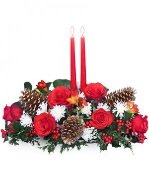 YULETIDE GLOW Centerpiece in Janesville, WI | BARB'S ALL SEASONS FLOWERS