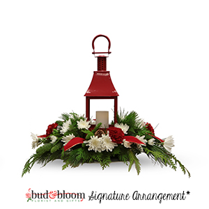 Yuletide Lantern Bud & Bloom Signature Arrangement