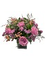 Zambezi Blush Vase Arrangement