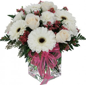 White And Pink Filler Flower Arrangement With White Roses And Large White Gerbera Daisies In Oxford Oh Oxford Flower Shop