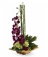 Zen Artistry Arrangement - Limited