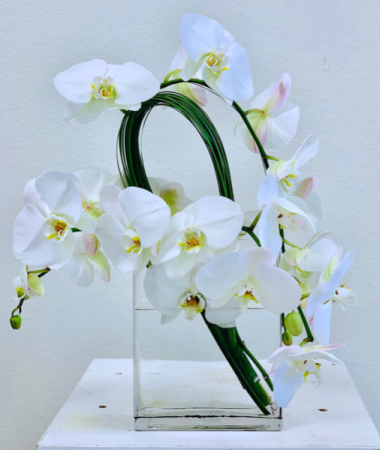 Zen Decor