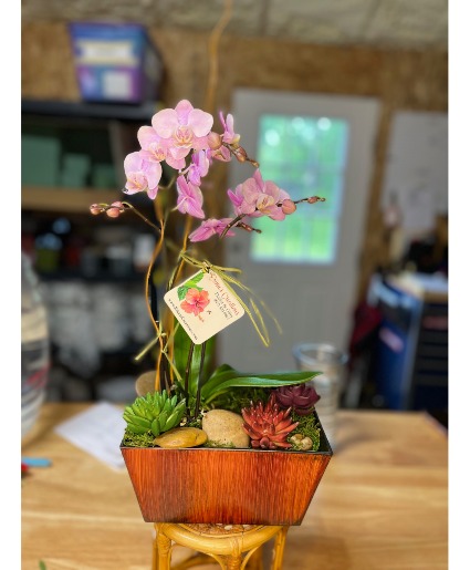 Zen Garden