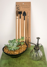 Zen Garden Black Plant Kit