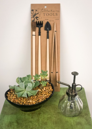 Zen Garden Black Plant Kit