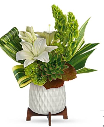Zen Organic Ceramic