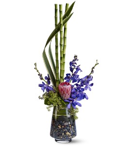 Zen Paradise Arrangement in Coral Springs, FL | DARBY'S FLORIST Zen Paradise Arrangement in Coral Springs, FL | DARBY'S FLORIST