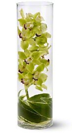 Zensational Flowers Orchid Arrangement in Los Angeles, CA | MY BELLA FLOWER Zensational Flowers Orchid Arrangement in Los Angeles, CA | MY BELLA FLOWER