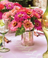 Zinnia magic Summer vibes collection