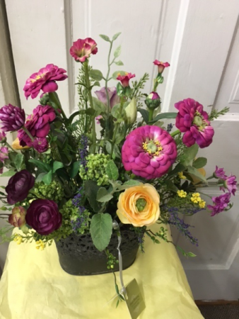 Zinnia surprise