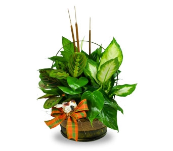 Planters with seasonal fresh or silk flowers added Containers are usually baskets or tin containers.
