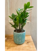 ZZ Planter 