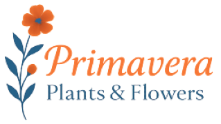 Primavera Plants & Flowers
