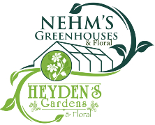 NEHM'S GREENHOUSE & FLORAL