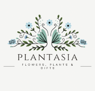 PLANTASIA FLOWERS, PLANTS & GIFTS