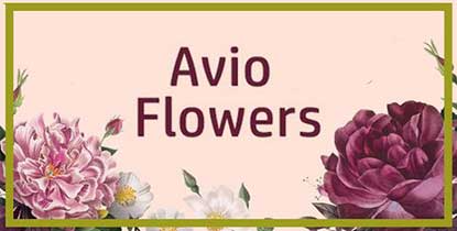 AVIO FLOWERS