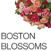 BOSTON BLOSSOMS