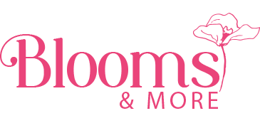 Homepage