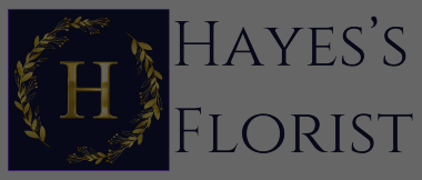 Homepage