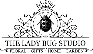 THE LADY BUG STUDIO